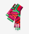 Pierre Louis Mascia RANAT Gloves Polyester Multicolor RANATSGU01PL513438101